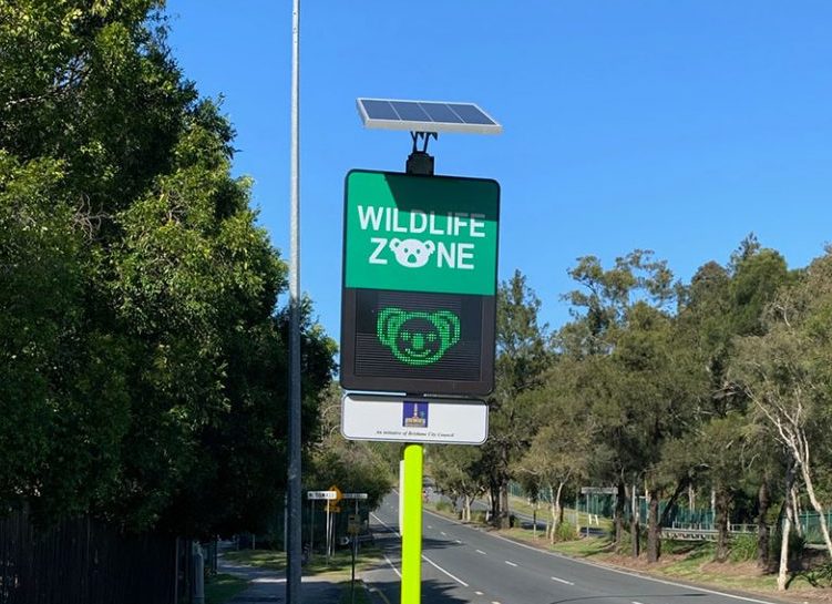 slow-down-for-sam-wildlife-awareness-campaign-tri-underground-australia